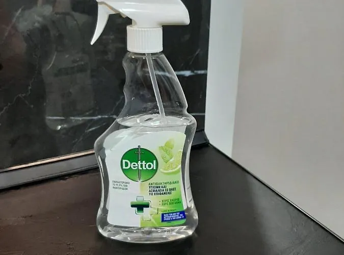 公寓 Vali_skg 塞萨洛尼基